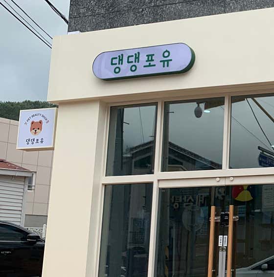 댕댕포유