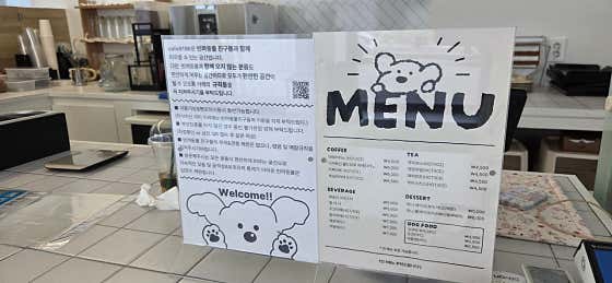 cafe9196 · 네이버 지도·플레이스 2