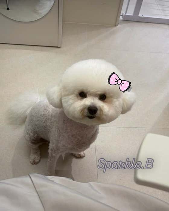 스파클 비