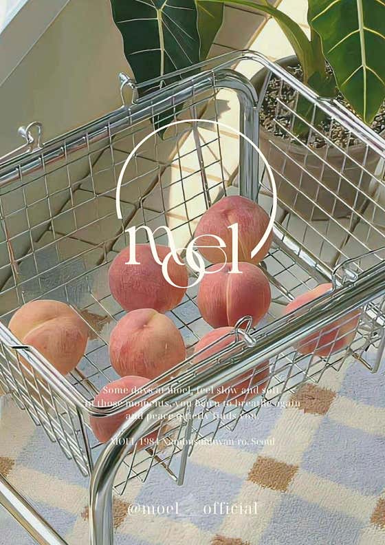 카페 모엘 · 네이버 지도·플레이스 7