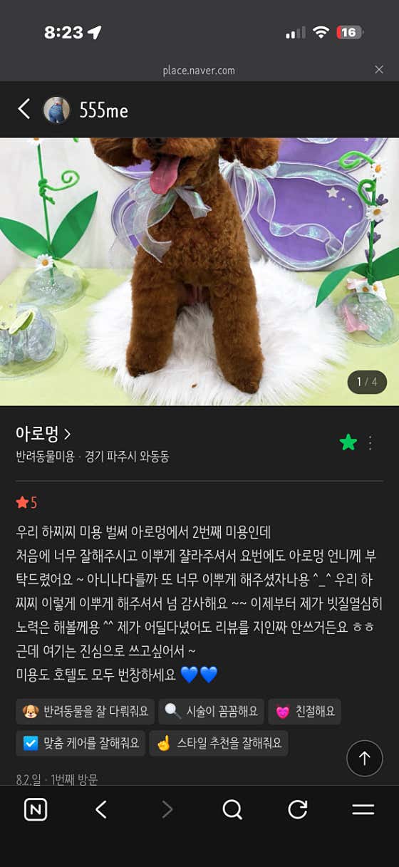 아로멍 · 네이버 지도·플레이스 6