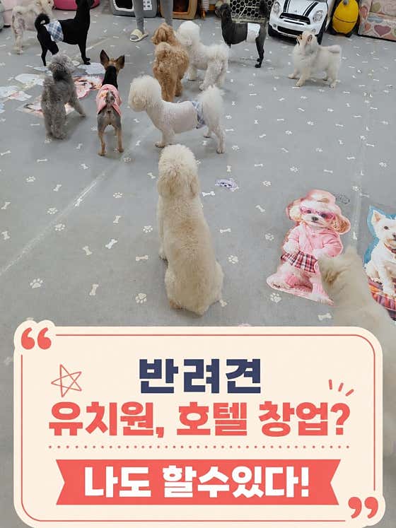 애니하우스