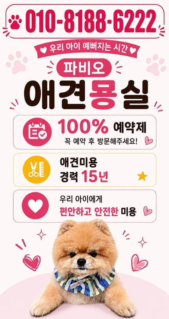 파비오애견묭실 · 네이버 지도·플레이스 2
