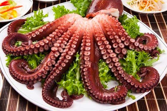 문어 메뉴 사진(네이버)