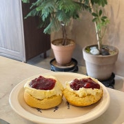 크림티스콘 메뉴 사진(네이버)