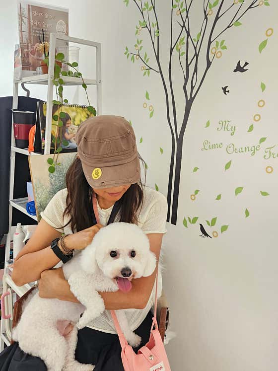 강아지숲 Pet