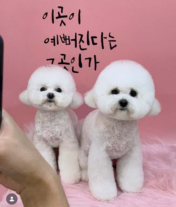 멍그라미 · 네이버 지도·플레이스 4