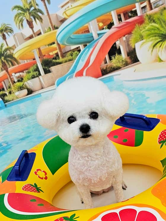 멍썸