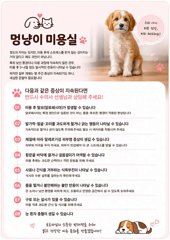 멍냥이미용실 · 네이버 지도·플레이스 8