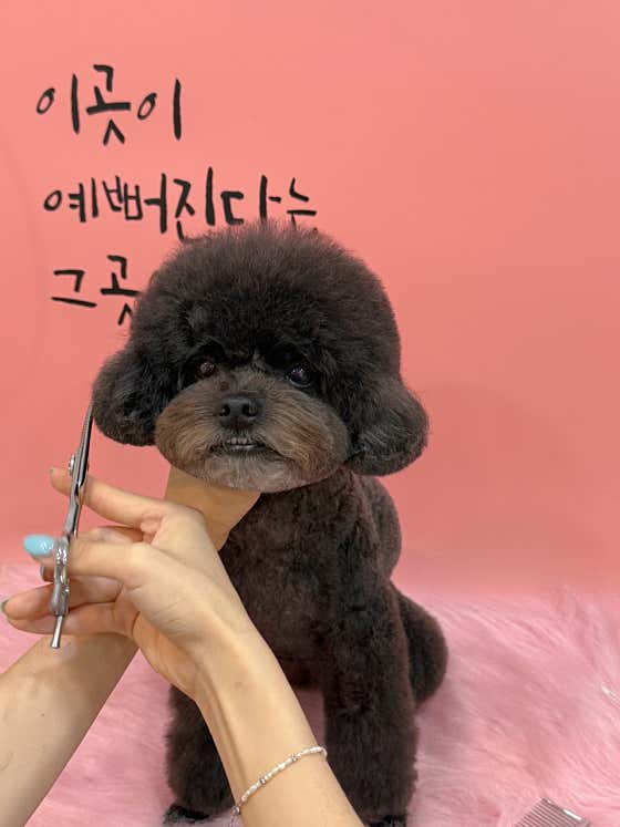 멍그라미 · 네이버 지도·플레이스 5