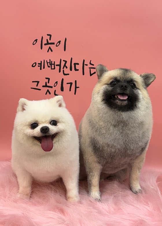 멍그라미 · 네이버 지도·플레이스 3