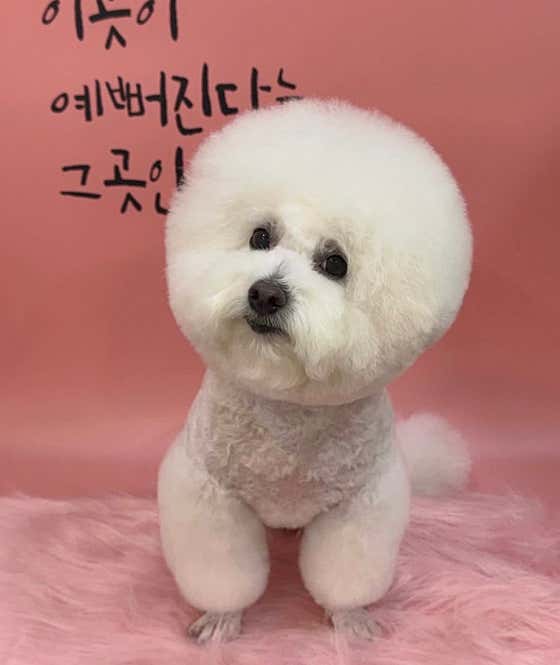 멍그라미 · 네이버 지도·플레이스 6