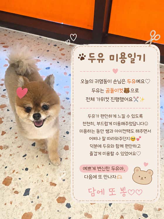 방긋방긋애견미용실 · 네이버 지도·플레이스 6