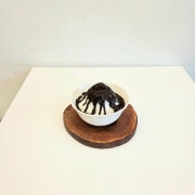 1인 초코쉘 빙수 메뉴 사진(네이버)