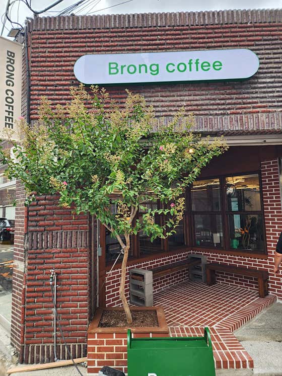 브롱