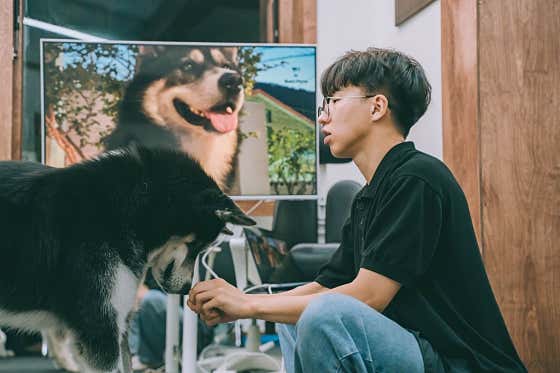 부엔페로 반려견 교육센터 · 네이버 지도·플레이스 4