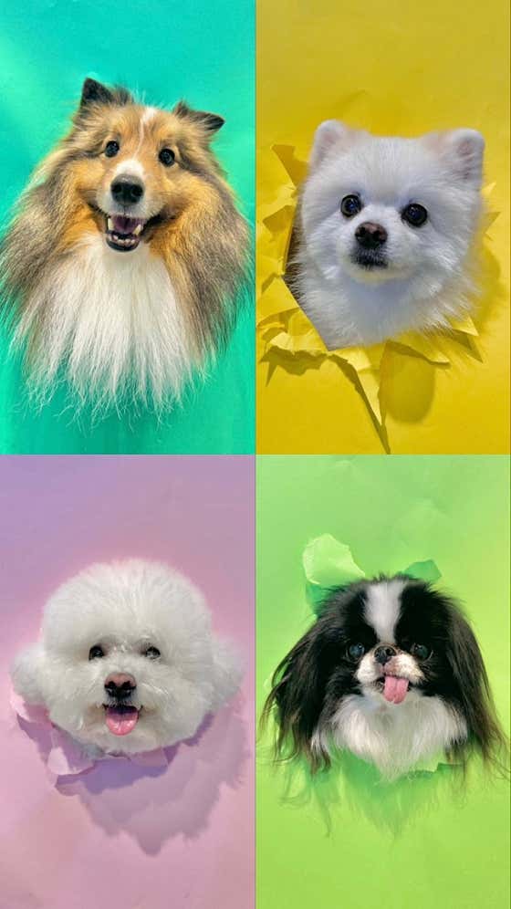 아인스훈드 · 네이버 지도·플레이스 5