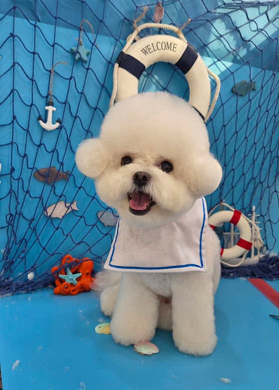 몽실묭실 · 네이버 지도·플레이스 7