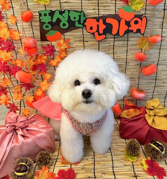 아인스훈드 · 네이버 지도·플레이스 2