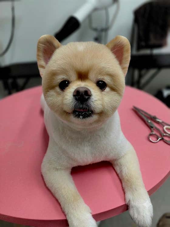 까까뽀까 · 네이버 지도·플레이스 10