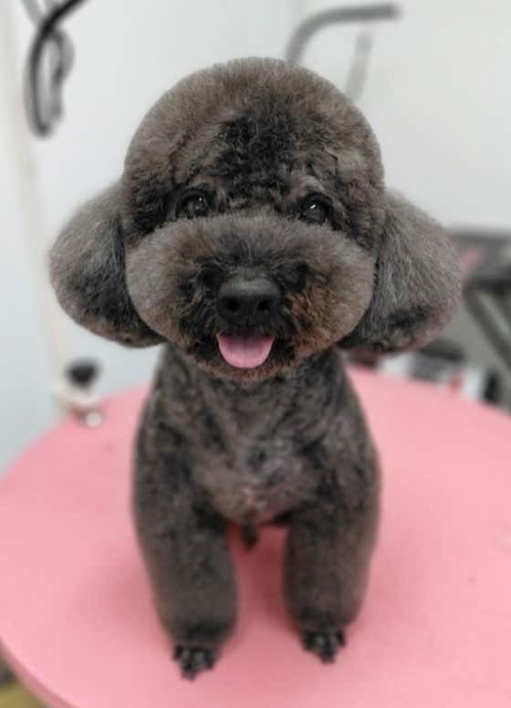 까까뽀까 · 네이버 지도·플레이스 4