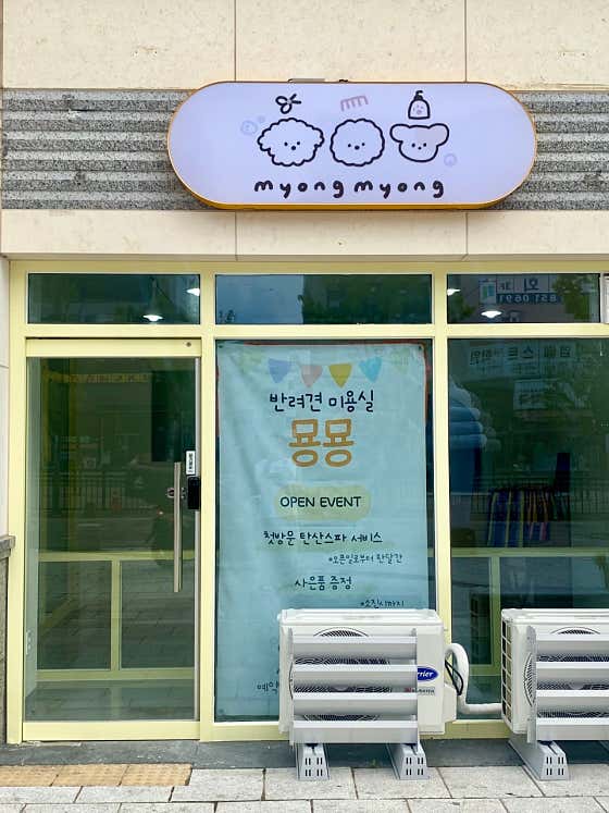 묭묭 · 네이버 지도·플레이스 2