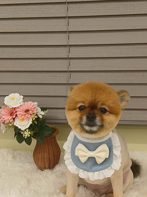 하이멍 · 네이버 지도·플레이스 3