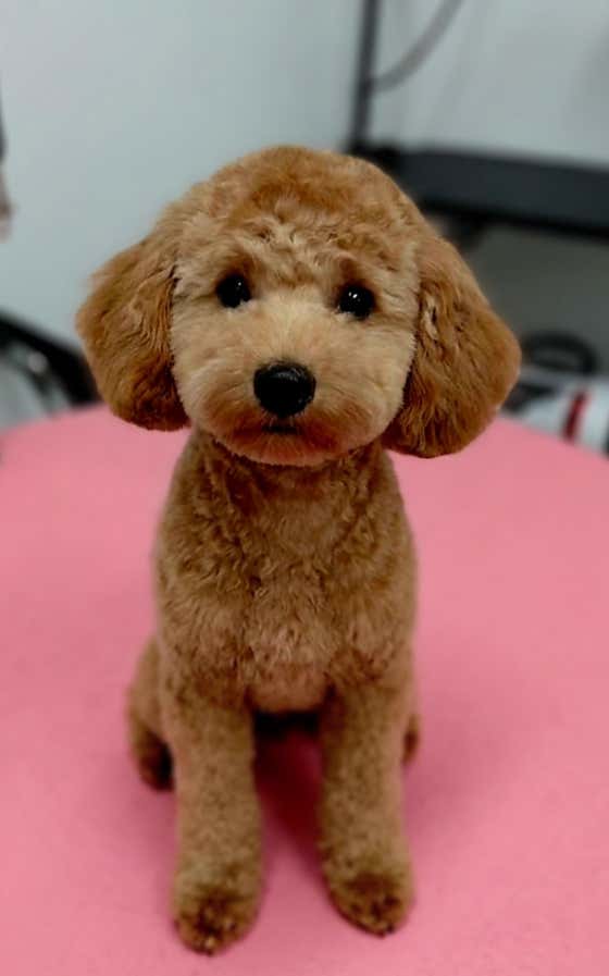 까까뽀까 · 네이버 지도·플레이스 6