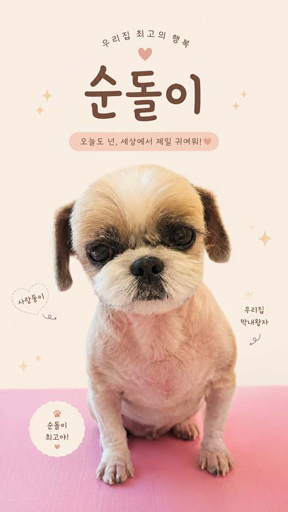 메리몰펫샵 영도점 · 네이버 지도·플레이스 9