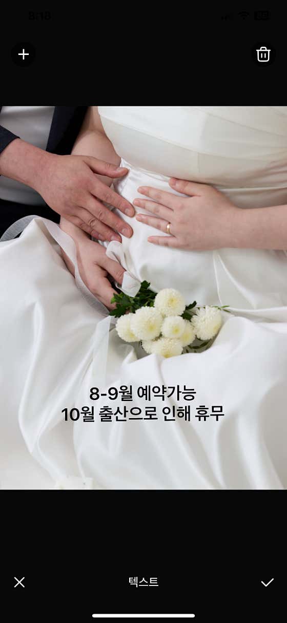최강아지