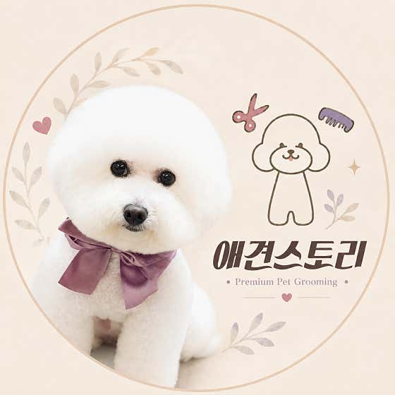 애견스토리