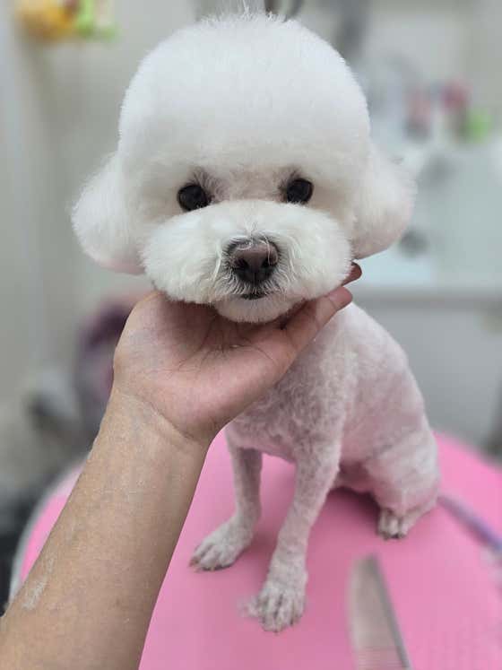 안녕,애기 · 네이버 지도·플레이스 7