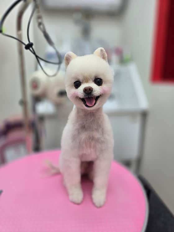 안녕,애기 · 네이버 지도·플레이스 8