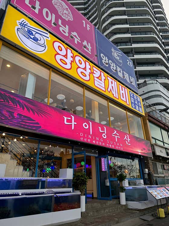 양양칼제비 양양본점 · 네이버 지도·플레이스 7