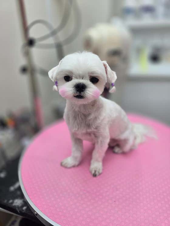 안녕,애기 · 네이버 지도·플레이스 6