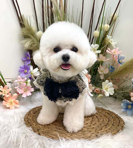 바이솔 · 네이버 지도·플레이스 2