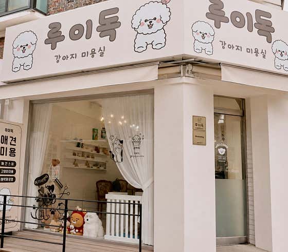 루이독 · 네이버 지도·플레이스 2