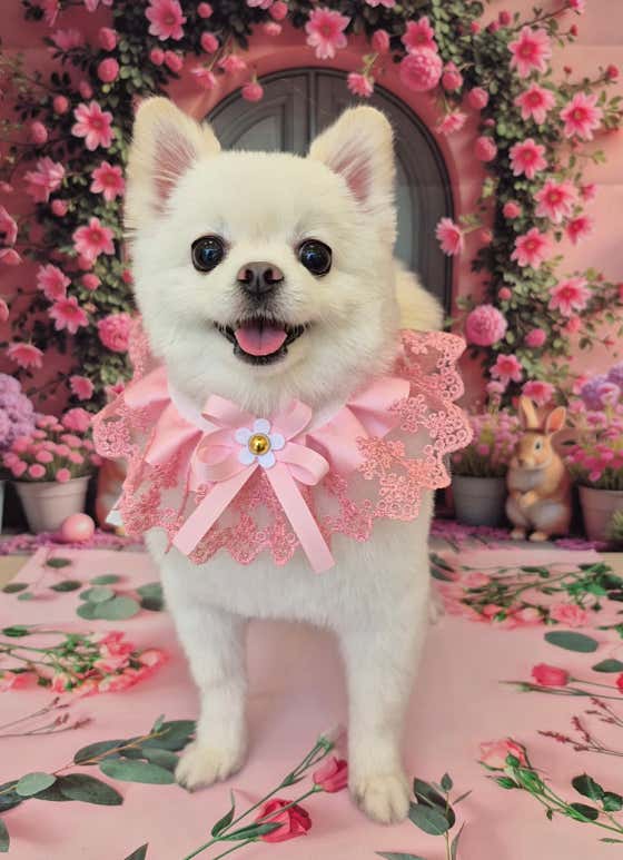 멍마실 · 네이버 지도·플레이스 10