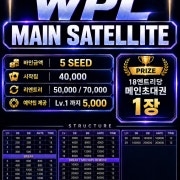 새틀라이트 토너먼트 게임 메뉴 사진(네이버)