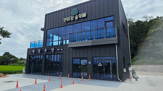 연미정 솔카페 · 네이버 지도·플레이스 4