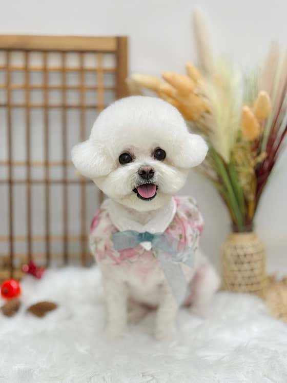 뚜니살롱 · 네이버 지도·플레이스 7