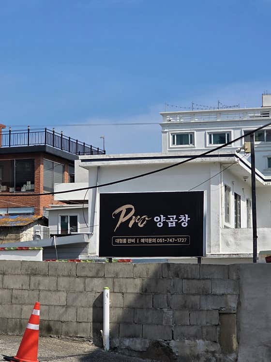 프로양곱창