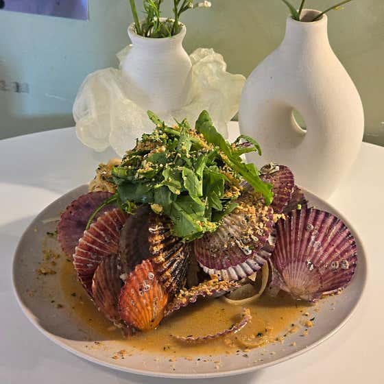 백짬뽕가리비파스타 메뉴 사진(네이버)