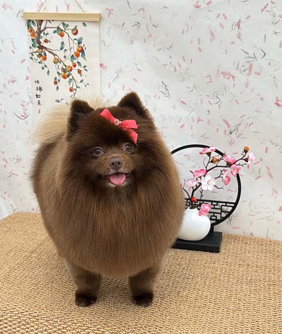 행복한 산책 · 네이버 지도·플레이스 2
