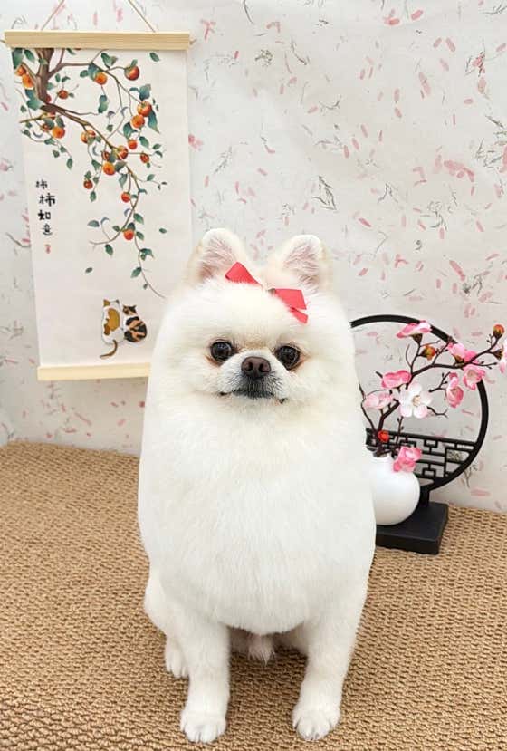 행복한 산책 · 네이버 지도·플레이스 4