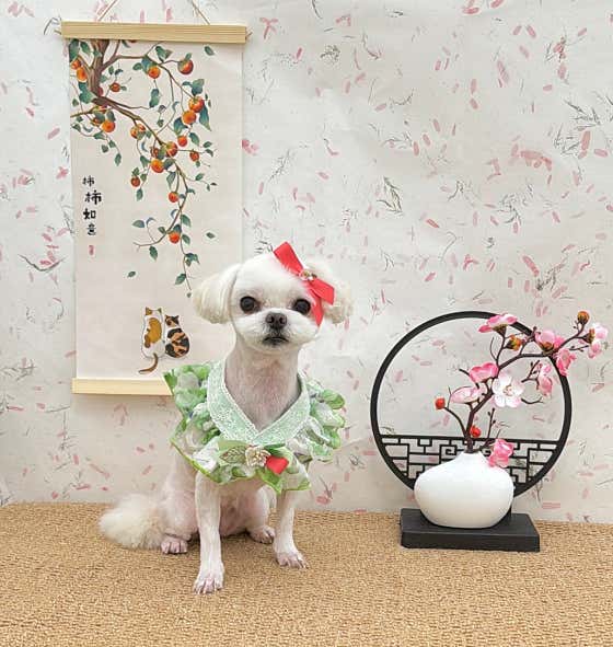 행복한 산책 · 네이버 지도·플레이스 3