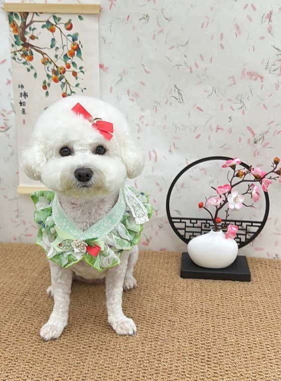 행복한 산책