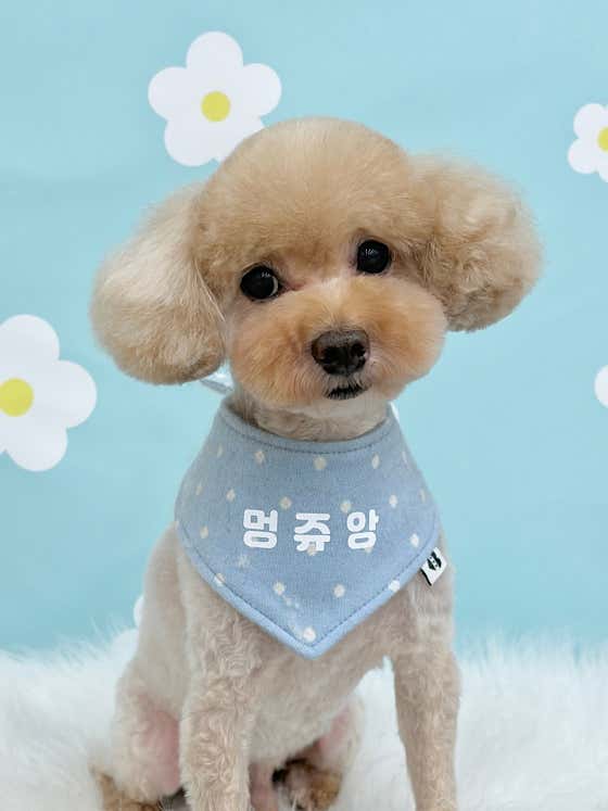 멍쥬앙 · 네이버 지도·플레이스 1