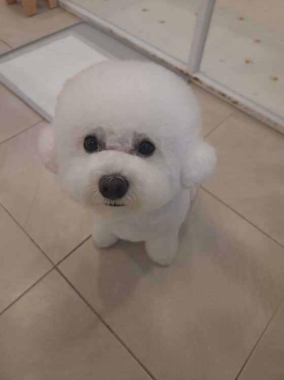 유니스펫살롱 · 네이버 지도·플레이스 5
