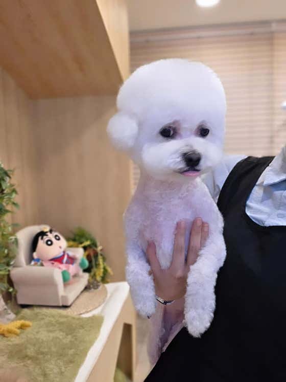 유니스펫살롱 · 네이버 지도·플레이스 2